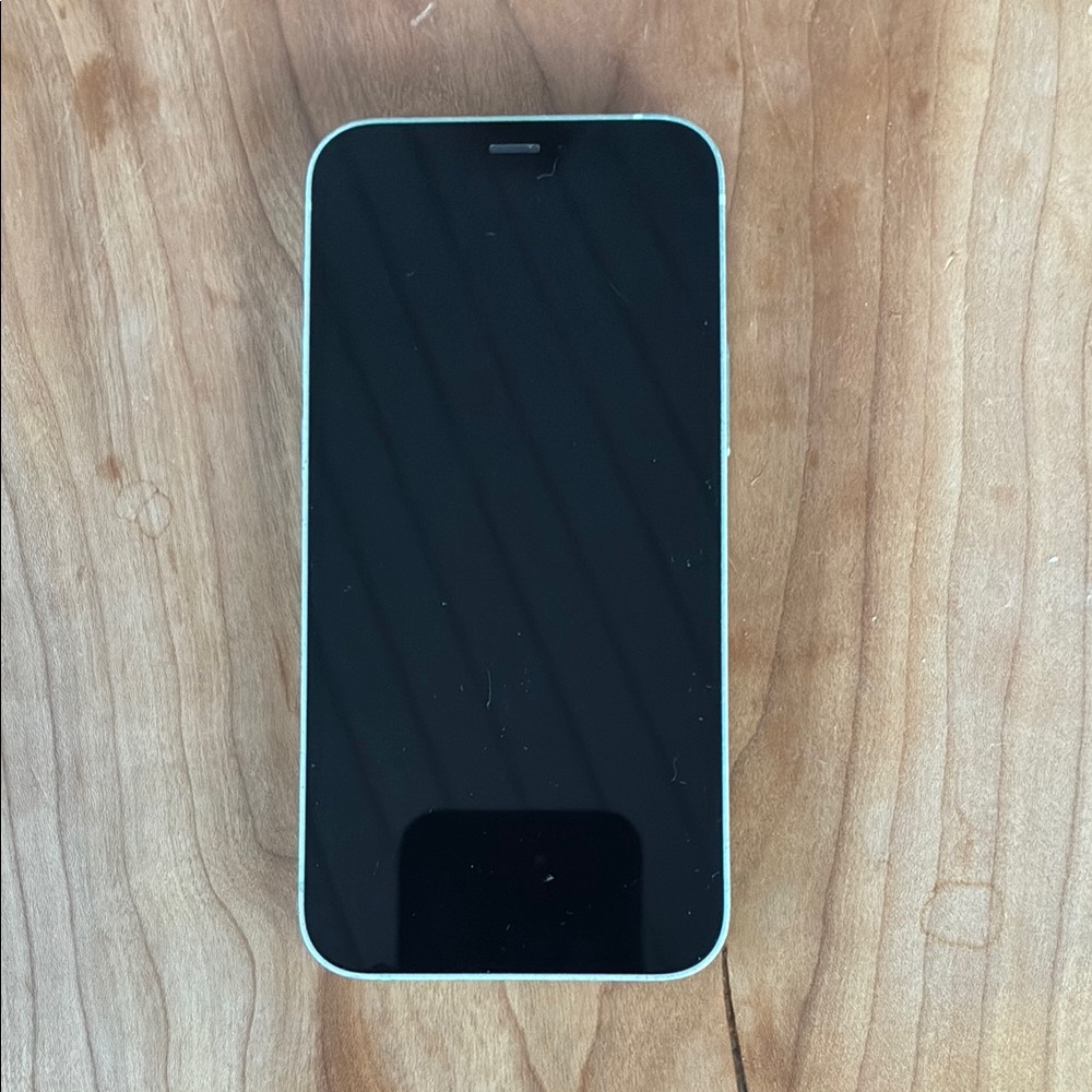 Mint Green 12 mini iPhone